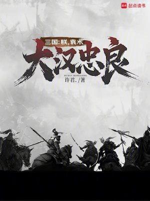 三国:朕,袁术,大汉忠良